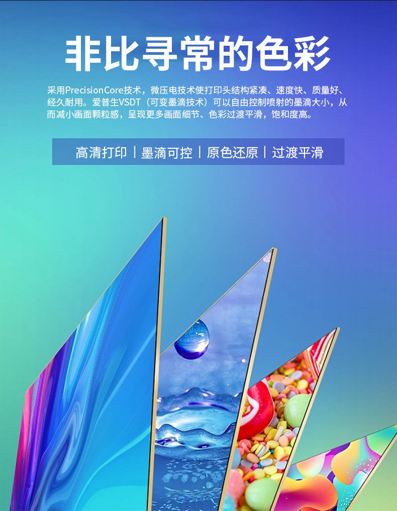 SP800 網(wǎng)帶機(圖4)