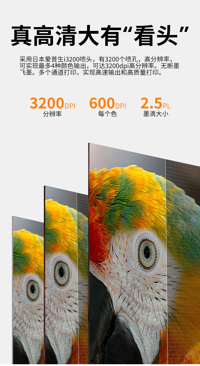 SP800 網(wǎng)帶機(圖5)